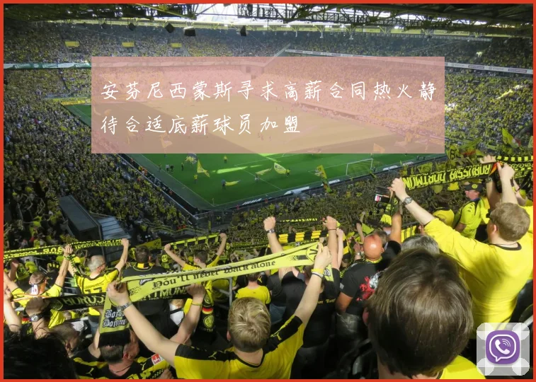 安芬尼西蒙斯寻求高薪合同热火静待合适底薪球员加盟